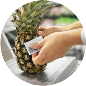 Screenshot 2023-08-31 144946